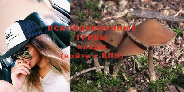 apvp Абинск
