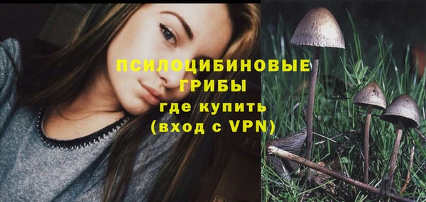 apvp Абинск